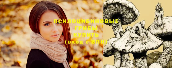 СК Балабаново