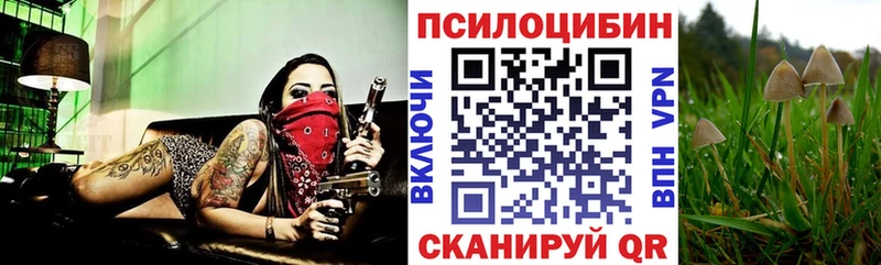 Галлюциногенные грибы Psilocybine cubensis  Бахчисарай 